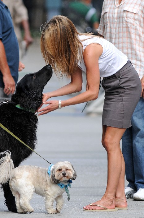 Jennifer Aniston has never had a problem relating to dogs. She's in New York filming “The Bounty” outside in excessively hot weather but she couldn't resist 