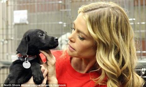 Denise Richards Can’t Do Enough For Hurricane Rescues