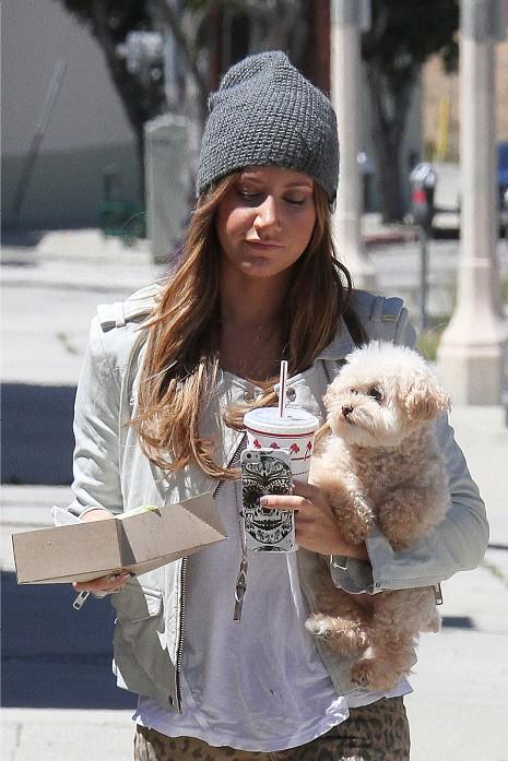 All Eyes Are Upon Ashley Tisdale’s Cuddly Dog Maui
