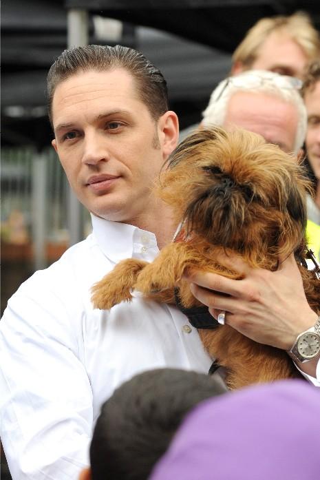 Tom Hardy And Dog: Cuteness Overload